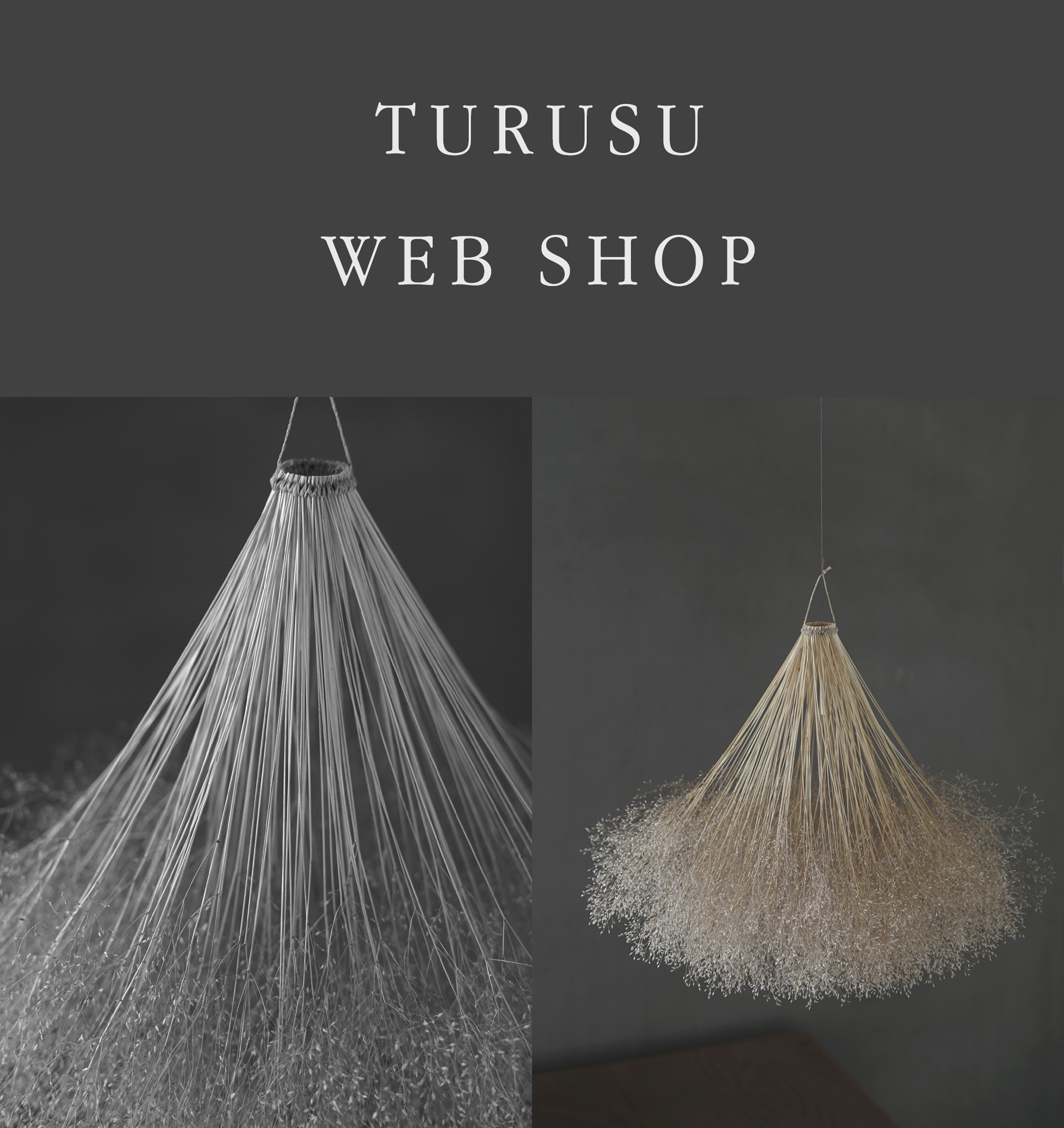 Kikusa Web Shop 草木を買うページ